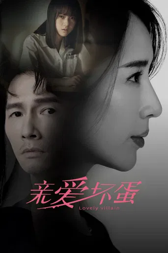 Lovely Villain poster