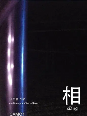 相 xiàng poster