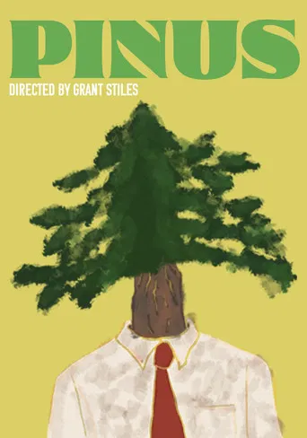 Pinus poster