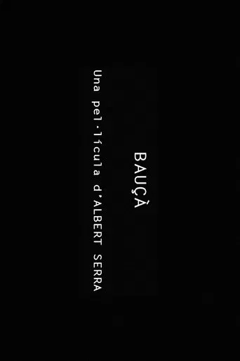 Bauçà poster