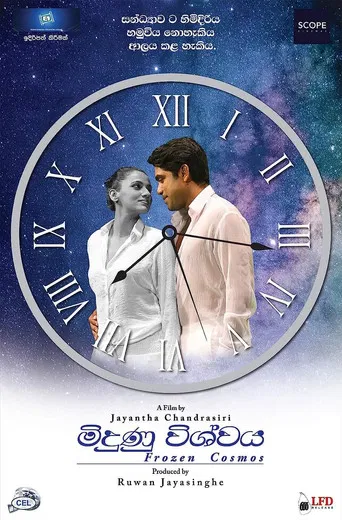 Frozen Cosmos poster