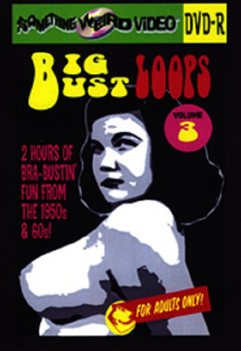 Big Bust Loops Volume 3 poster
