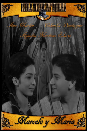 Marcelo y María poster