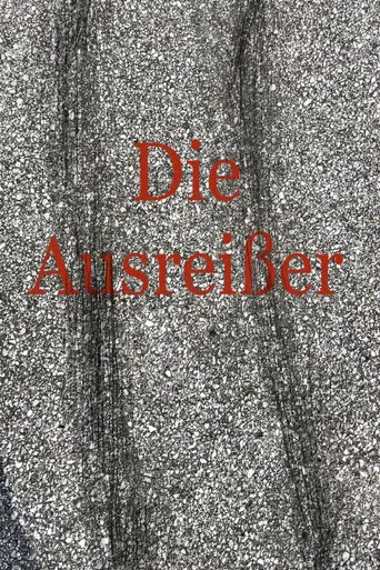Die Ausreißer poster