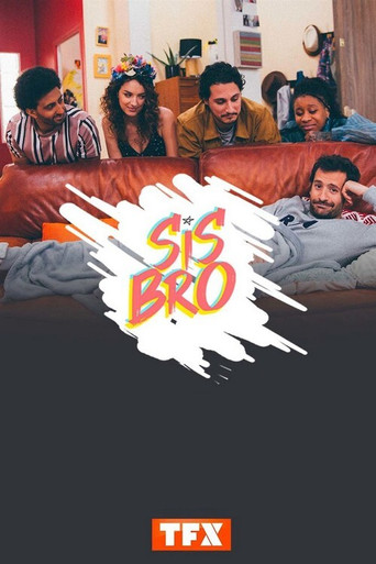 Sisbro poster