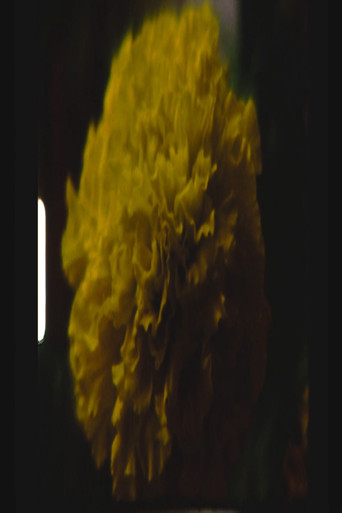 Quiet As It’s Kept poster