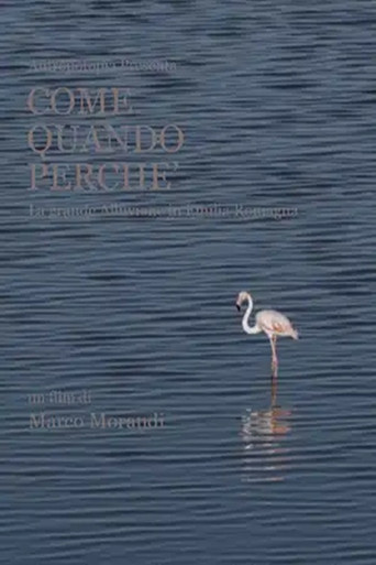 Come quando perché poster