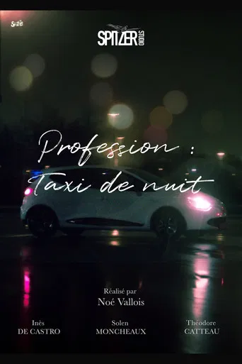 Profession : Taxi de nuit poster