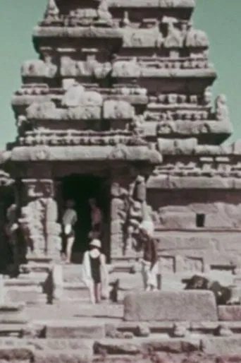 Street Scenes in India poster