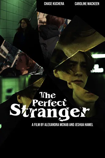 The Perfect Stranger poster