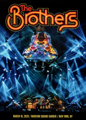 The Allman Brothers Band: The Brothers 50 poster