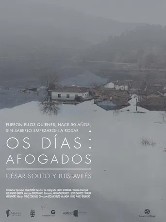 Os Días Afogados poster