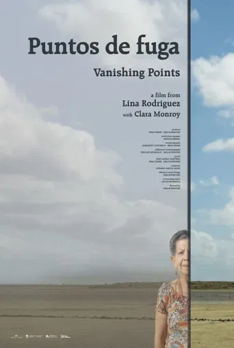 Vanishing Points poster