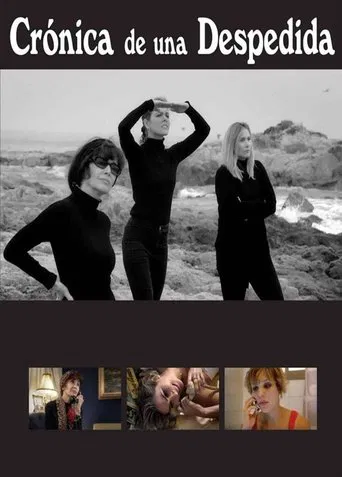 Chronicle of a Farewell poster