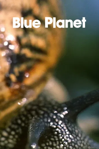 The Blue Planet poster