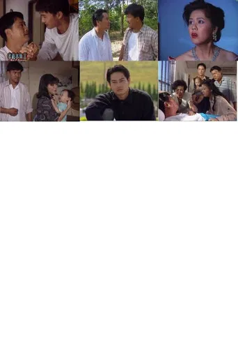 孝义本无言 The Blood of My Father poster