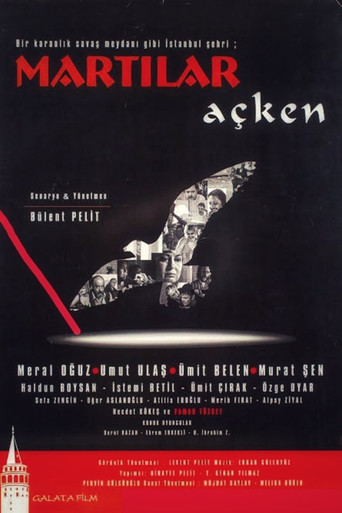 Martılar Açken poster