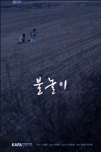 Playing with Fire poster