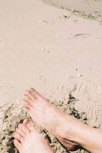 Memories of a Perfect Day poster