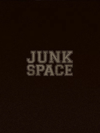 Junk Space poster