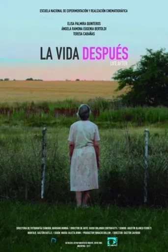 La Vida Después poster