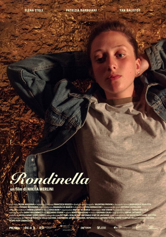 Little Swallow poster