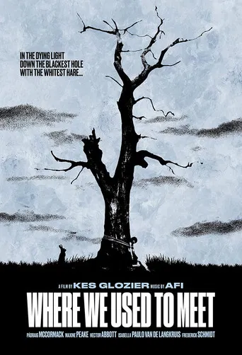 Where We Used to Meet poster