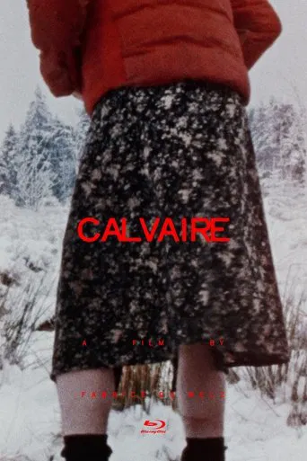 Calvaire poster