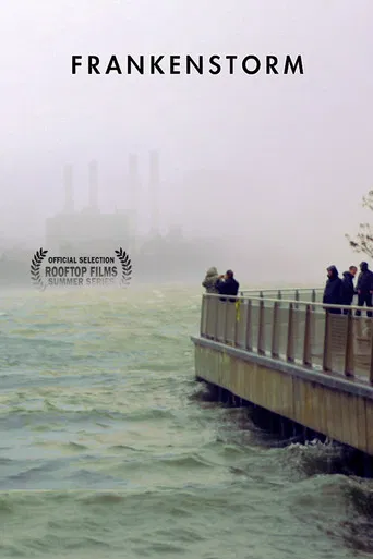 FRANKENSTORM: From Across the East River poster