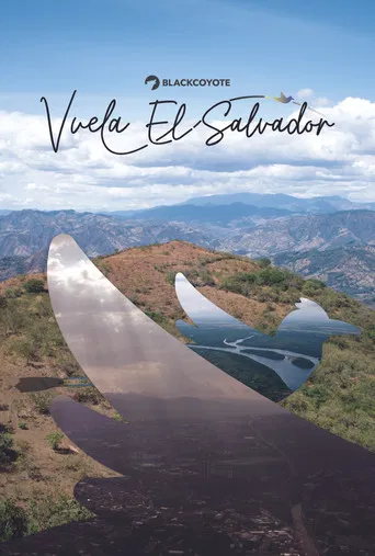 Vuela El Salvador poster