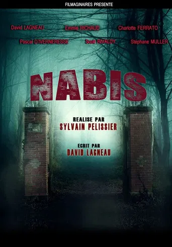 Nabis poster