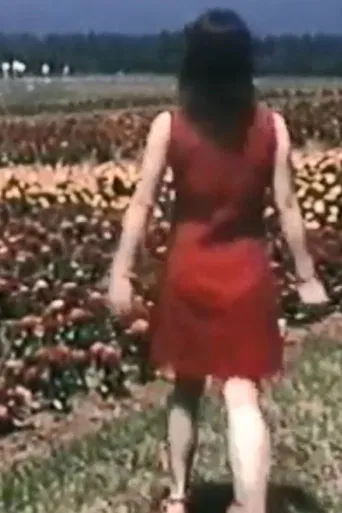 Alice in the Wilderness poster