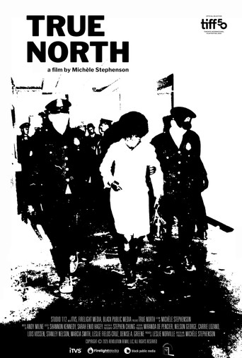 True North poster