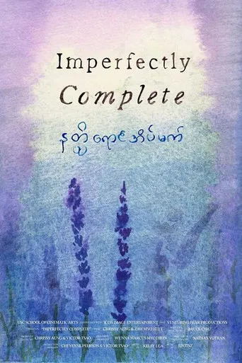 Imperfectly Complete poster