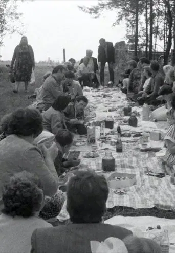 We Were at Our Own Field poster