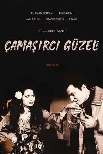 The Washer Beauty poster