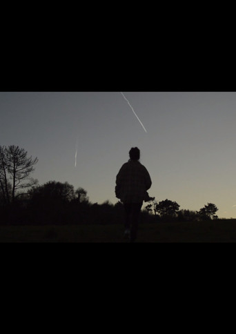Cuando miro por la ventana veo el bosque poster