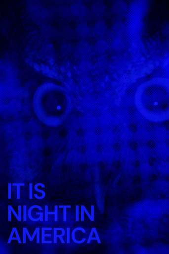It Is Night in America poster