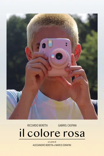 Il colore rosa poster