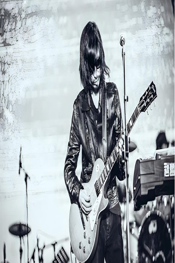 谢天笑 (2014绿放音乐节重庆站) poster