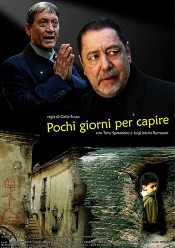 Pochi giorni per capire poster
