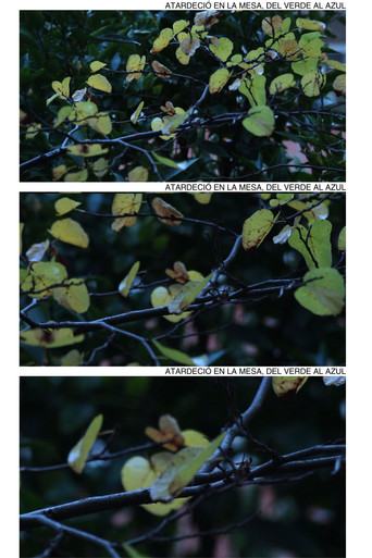 Atardeció en la mesa, del verde al azul poster