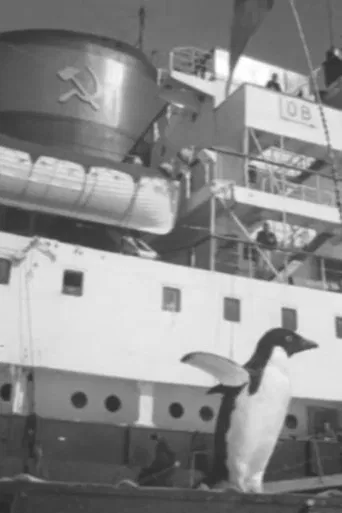 The White Land of Enderby poster