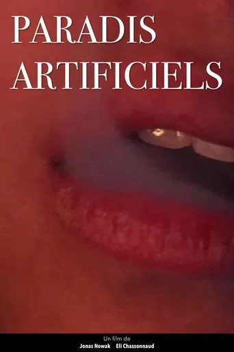 Paradis Artificiels poster