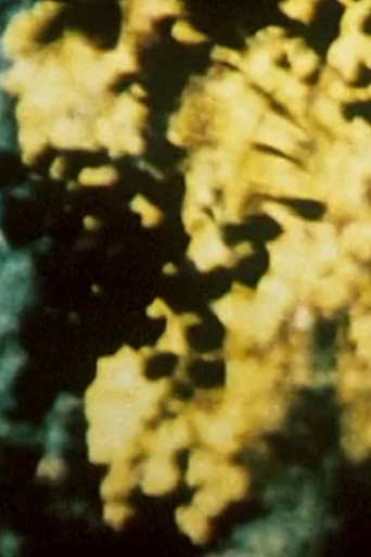 Broken Blossoms poster