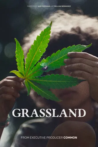 Grassland poster