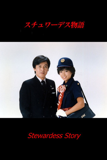 Stewardess Story poster