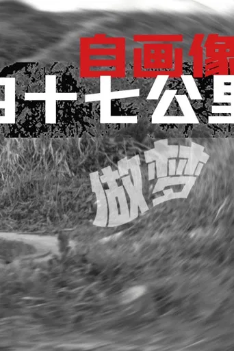 Self-Portrait: Dreaming at 47 KM poster