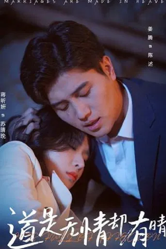 道是无情却有晴 poster