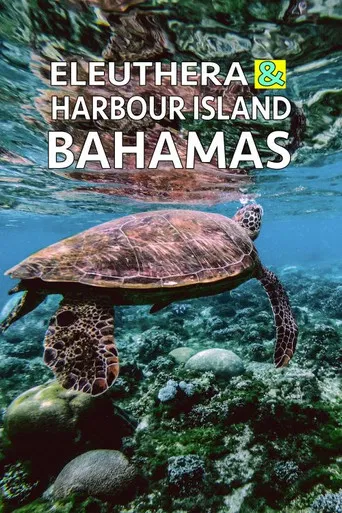 Eleuthera & Harbour Island: Bahamas poster